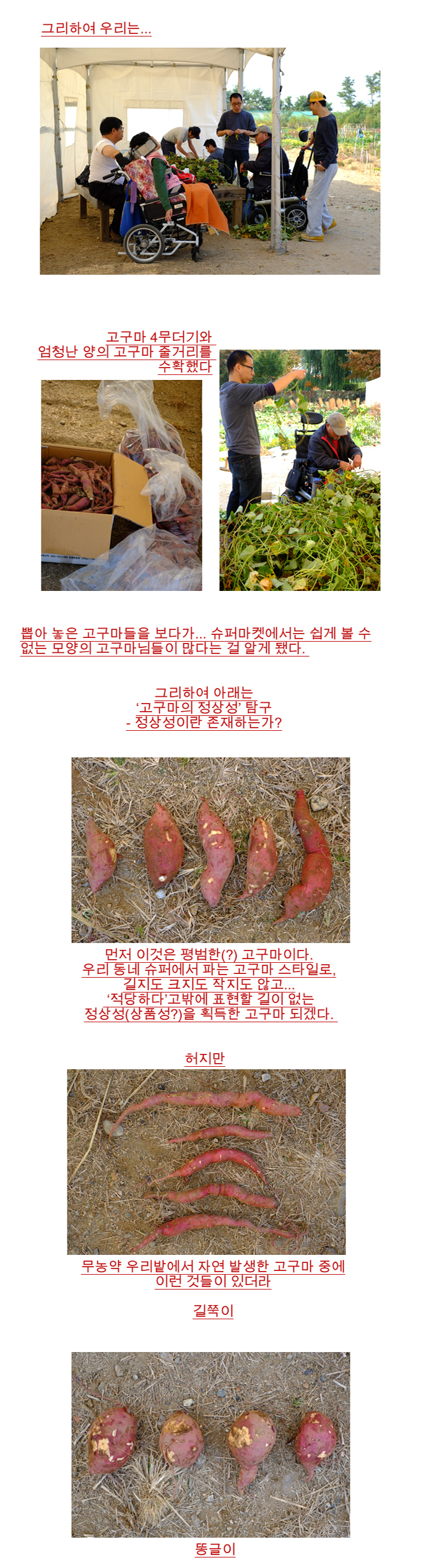 농사이야기12월호_02.png