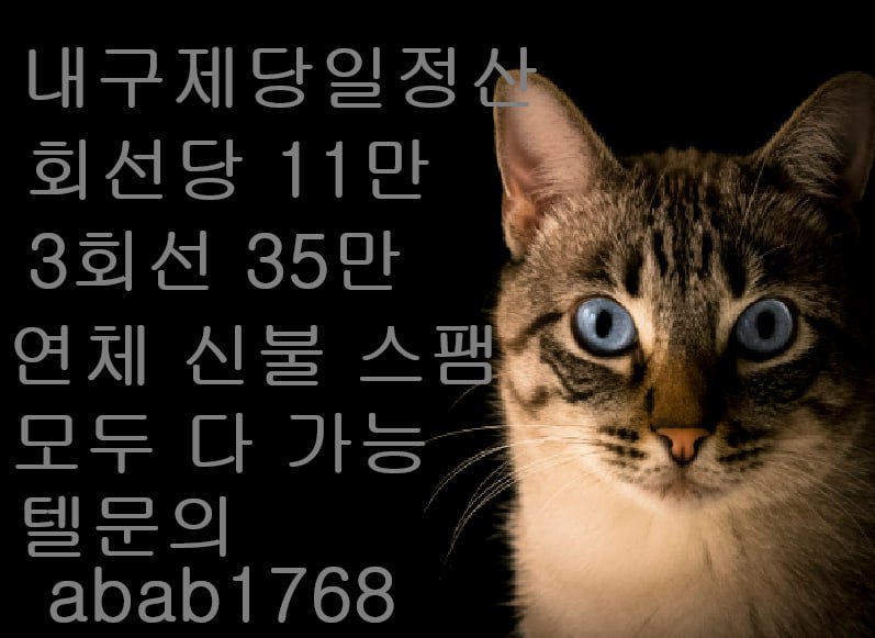 선불유심내구제 유심내구제 내구제 고액알바 당일대출 당일급전 비대면대출 비대면급전 (80).jpg