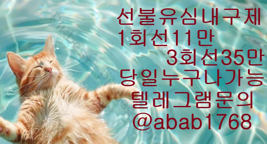 선불유심내구제 유심내구제 내구제 고액알바 당일대출 당일급전 비대면대출 비대면급전 (81).jpg