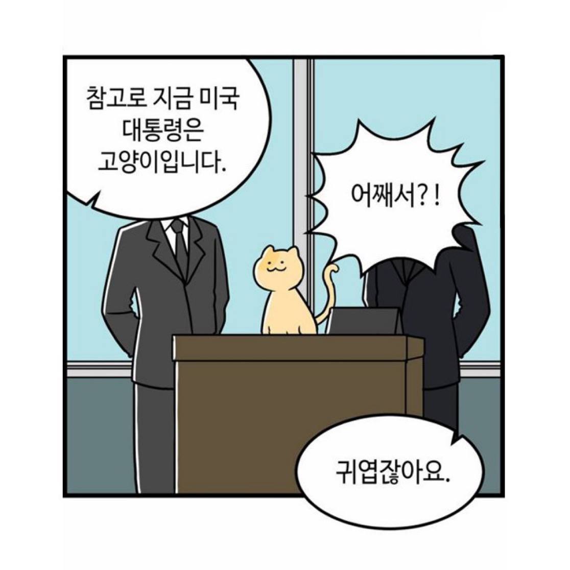 김다현2.jpg